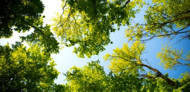A family office guide to sustainable investment reporting